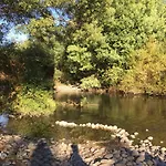 Cabaña a pasos del río rodeada de un hermoso entorno nativo natural