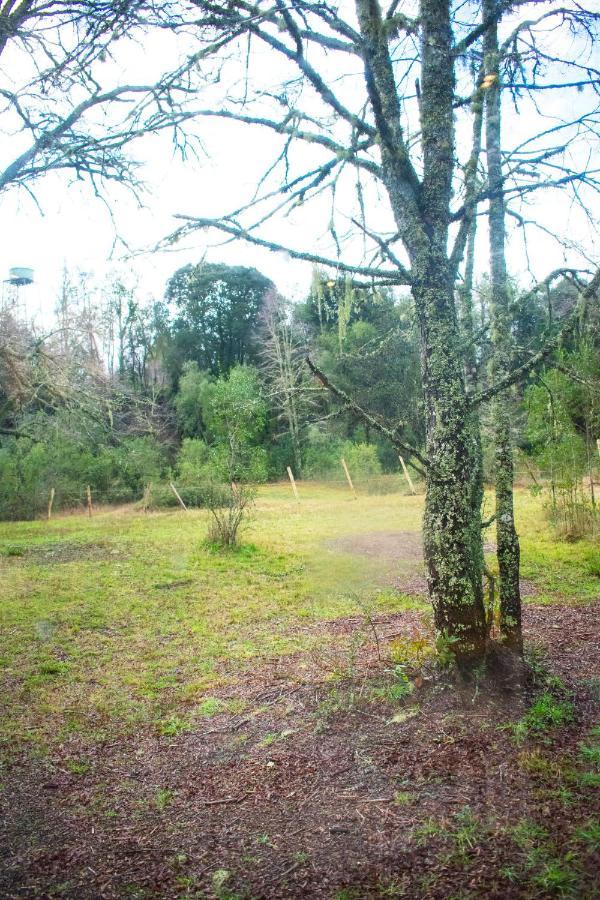 A Pasos Del Rio Rodeada De Un Hermoso Entorno Nativo Natural Villarrica